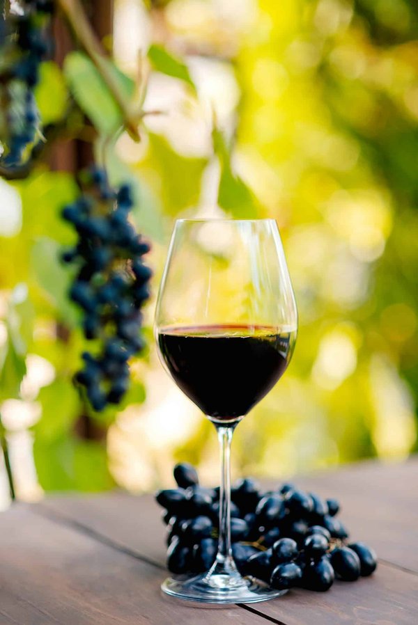 Pour les amateurs de vin authentique : les meilleurs cavistes de vin nature à Toulouse